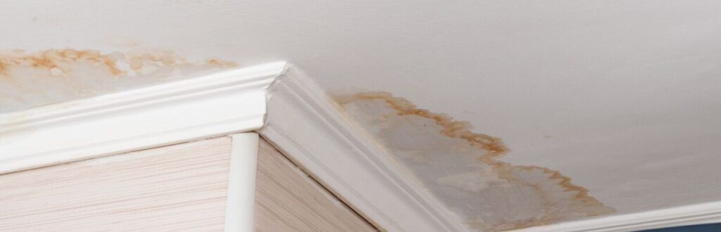 Brown Spots On Ceiling: What Does It Mean? - First & Last Restoration