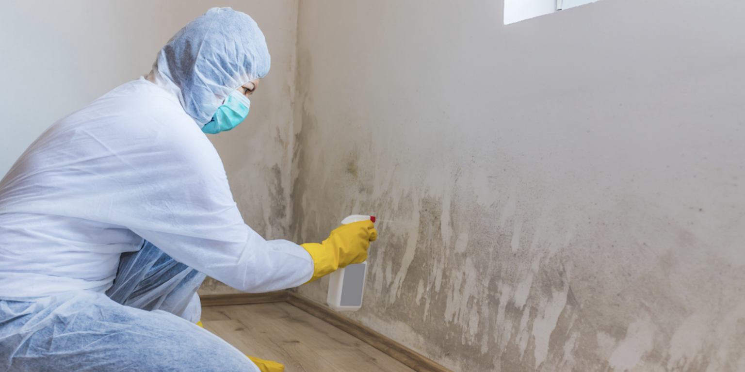 Unmasking The 10 Warning Signs Of Mold Toxicity